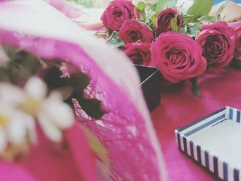Close-up of pink flowers