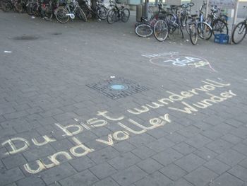 High angle view of bicycle on street