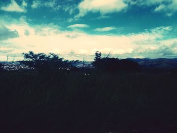 Silhouette trees on landscape against sky