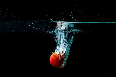 Close-up of apples in water against black background