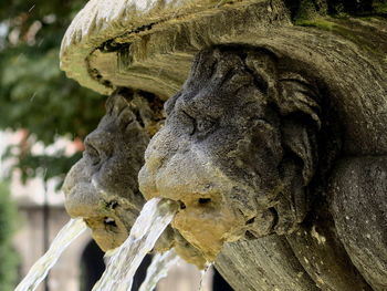 Close-up of stone lions