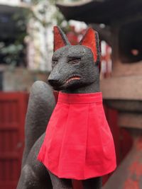 Close-up of dog against red wall