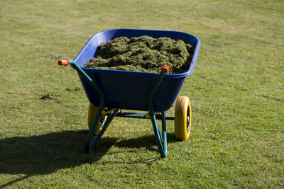 Chair in lawn