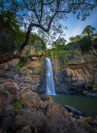 Scenic view of waterfall in forest