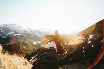 Cropped image of hand feeding bird on mountain