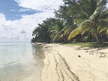 Scenic view of beach against sky