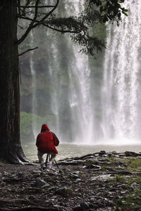 Rear view of man standing by waterfall in forest