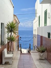 Potted plants by swimming pool by sea against sky