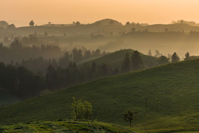 Scenic view of landscape against sky during foggy weather