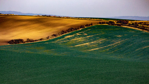 Scenic view of agricultural field against sky