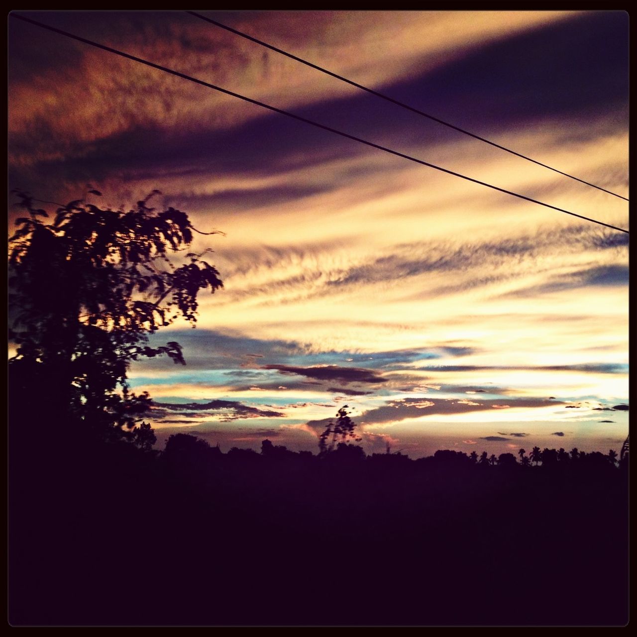 sunset, silhouette, sky, cloud - sky, scenics, tree, beauty in nature, tranquil scene, tranquility, cloudy, cloud, nature, dramatic sky, dusk, idyllic, transfer print, moody sky, orange color, dark, auto post production filter