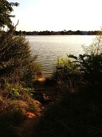 Scenic view of river against clear sky