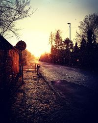 Road passing through bare trees