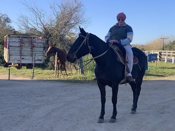 Man riding horse in ranch