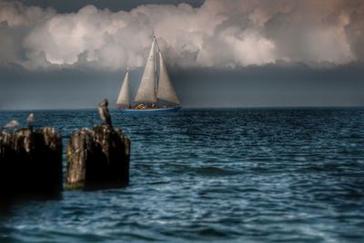 Sailboat sailing on sea against sky