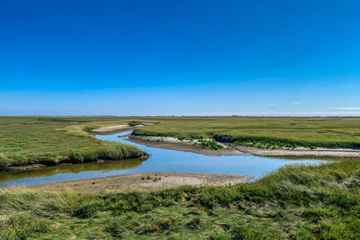 Scenic view of landscape against blue sky