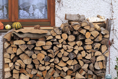 Stack of logs in forest