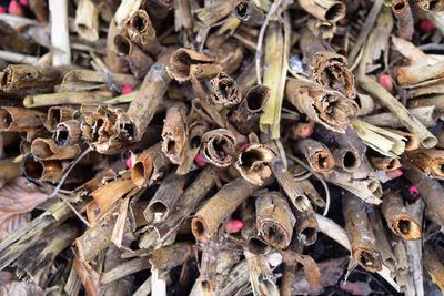 Full frame shot of firewood