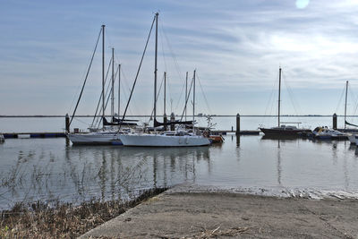 Sailboats in marina