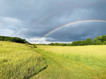 rainbow