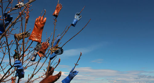 Low angle view of protective gloves stuck on bare trees against blue sky