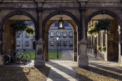 Trees in front of historic building