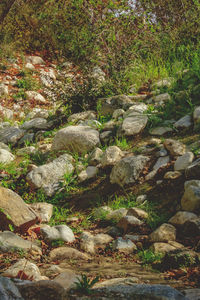 Water flowing through rocks