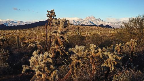 Scenic view of mountain range against sky