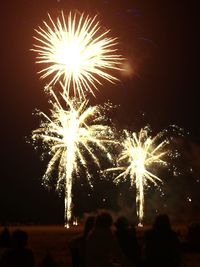 Firework display at night