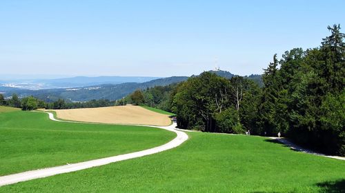 Scenic view of landscape against clear sky