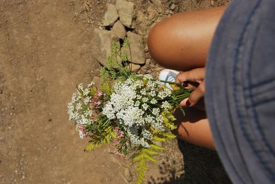 Directly above shot of woman holding flowers