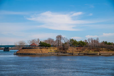 Scenic view of river by trees against sky