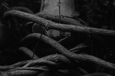 Close up of rusty pipe
