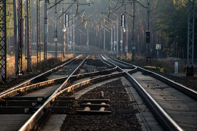 Railroad tracks in forest