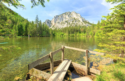 Scenic view of lake by trees against sky