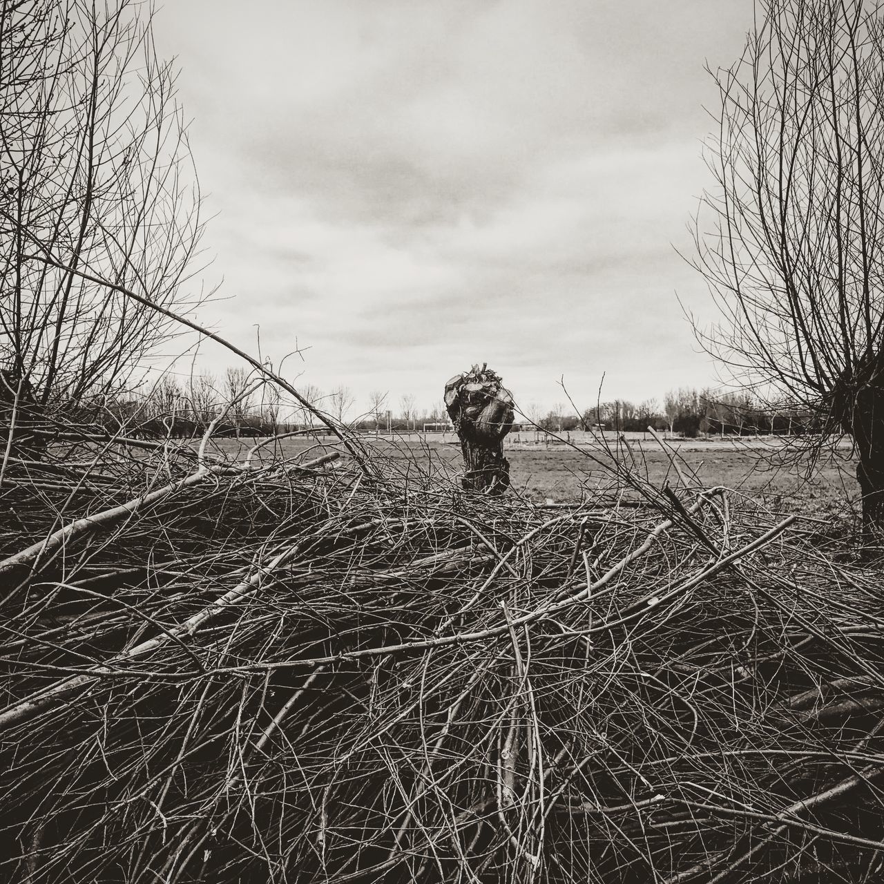 MAN STANDING ON FIELD AGAINST SKY