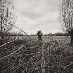 Rear view of man standing on field against sky