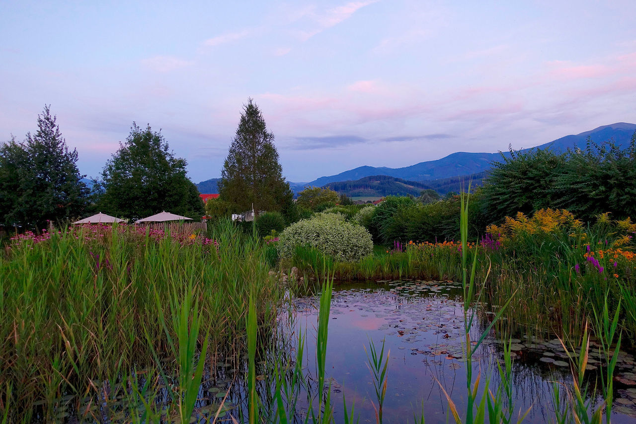 Bio pond