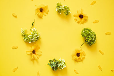 Close-up of yellow flowering plant