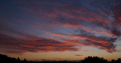 Low angle view of silhouette trees against dramatic sky