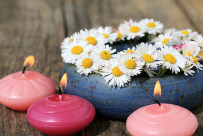 Close-up of pink flowers on table