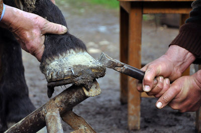 A farrier blacksmith hooves a horseshoe in a village