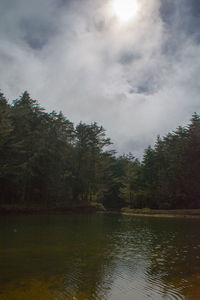 Scenic view of river in forest against sky