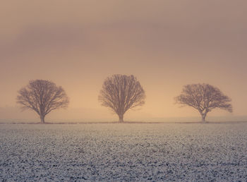 A misty landscape with a snowfall during the sunrise. rural landscape of snowstorm in the morning. 