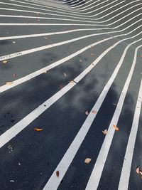 High angle view of zebra crossing on road