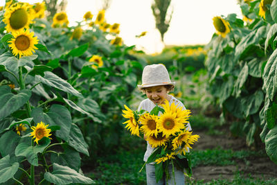 Happy boy walking in field of sunflowers. child playing with big flower and having fun.