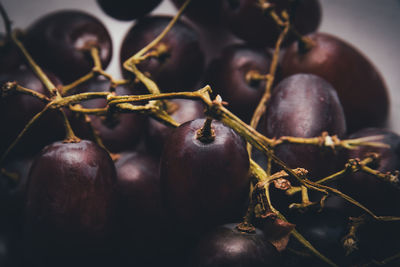 Close-up of tomatoes