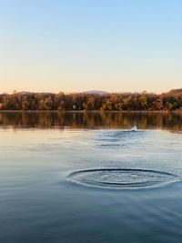 Scenic view of lake against clear sky