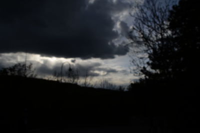 Silhouette of trees against cloudy sky