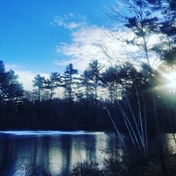 Scenic view of lake in forest against sky